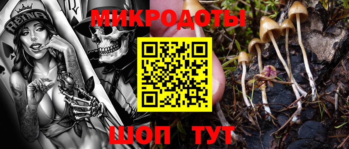 Псилоцибиновые грибы GOLDEN TEACHER  Галлюциногенные грибы Psilocybe  Орехово-Зуево  Вход с VPN 