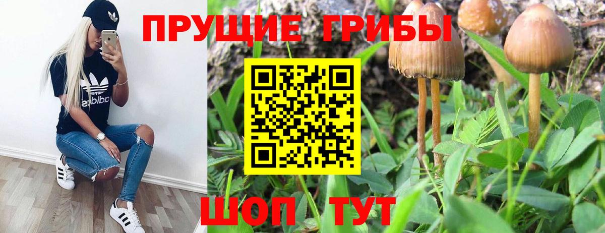 Псилоцибиновые грибы мухоморы Орехово-Зуево